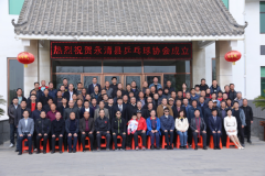 永清县乒乓球协会成立暨第一届会员代表大会胜利召开